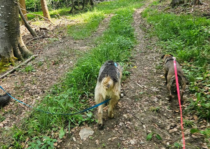 Mika3