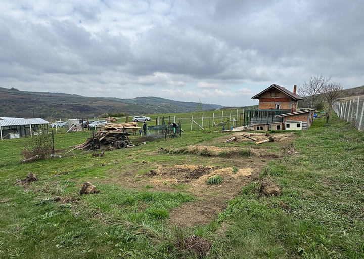 Aca Tierheim Svilos 13