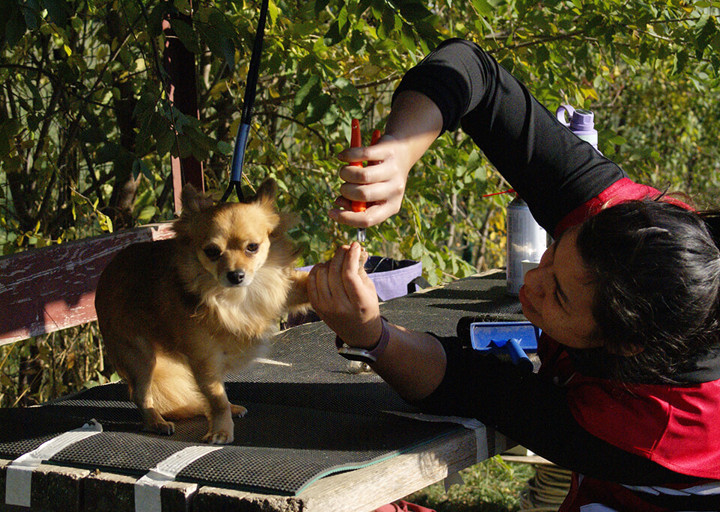 Kopie Von 25 10120553