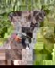 Libby 2