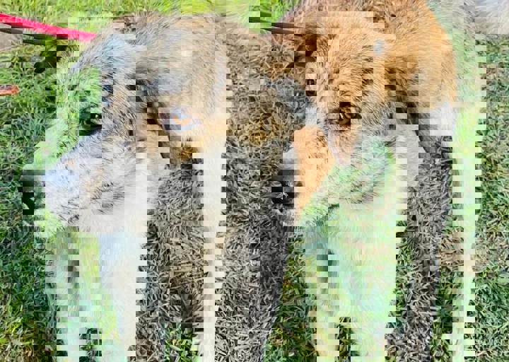 Aca Careday Okt 2025 54