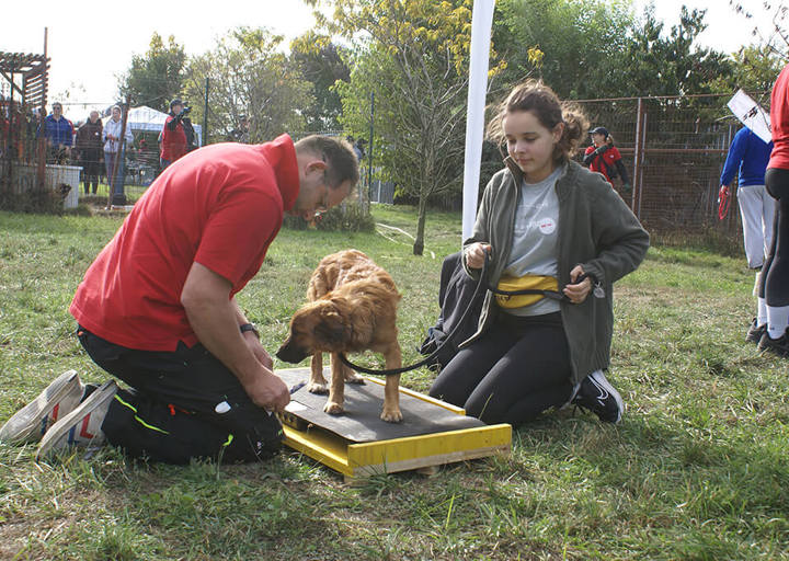 Kopie Von 25 10120120