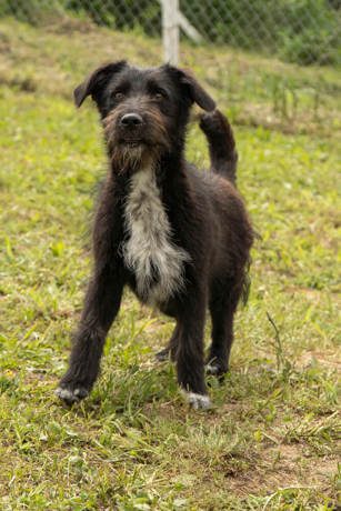 Kimbo 2 (1)