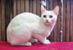 Wilma 4