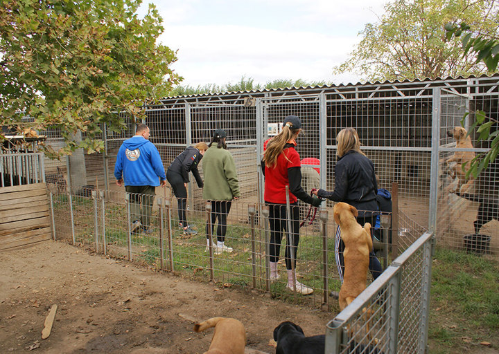 Kopie Von 25 10120272