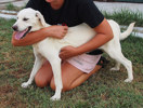 Paula 1