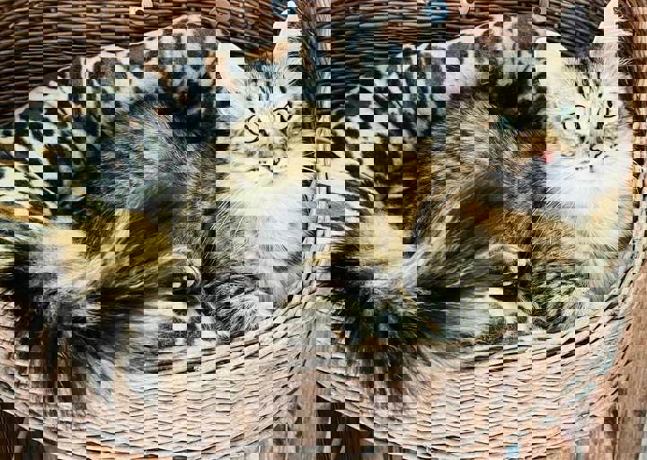 Aca Careday Sept 24 7