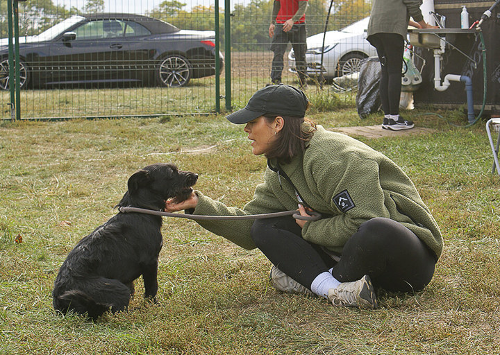 Kopie Von 25 10120310