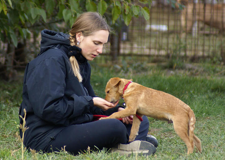 Kopie Von 25 10120419