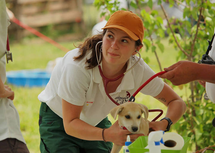 Aca Careday Mai 2026 Carol 26 05310317