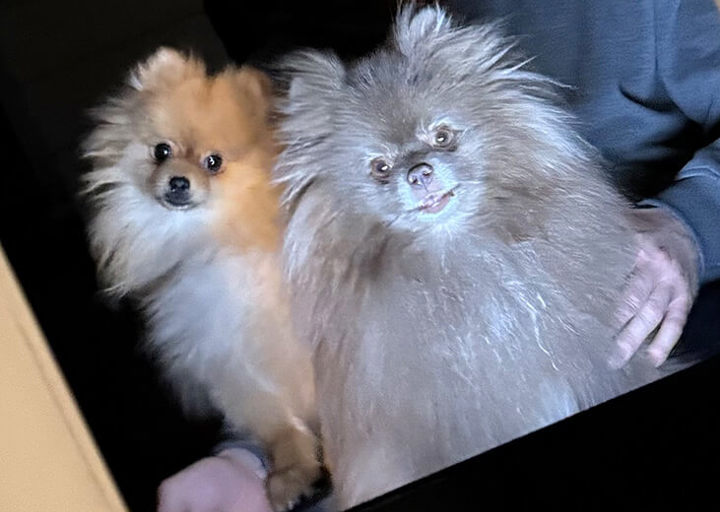 Peanut8