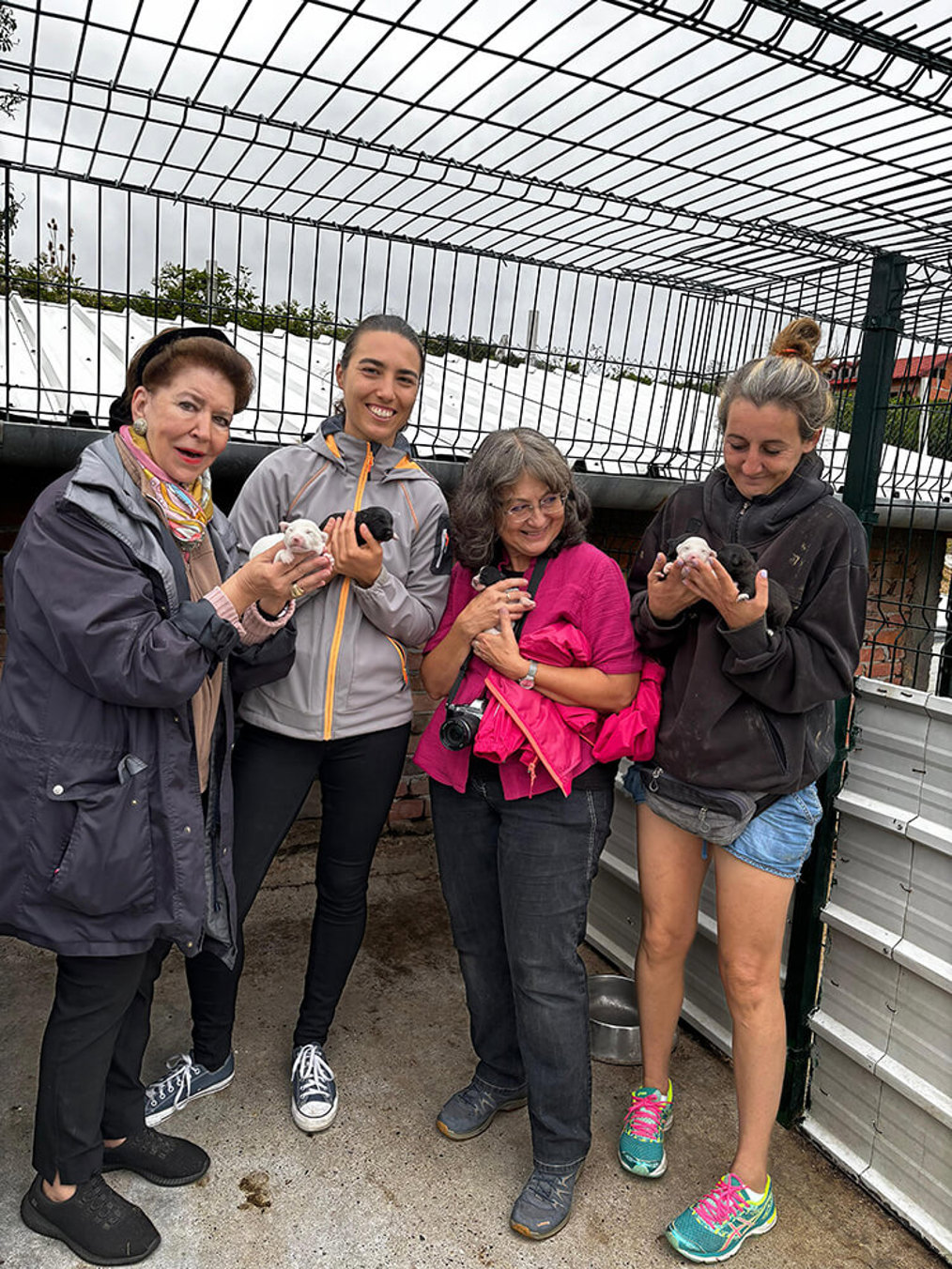 Aca Tierheim Svilos 4