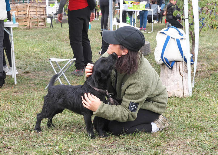 Kopie Von 25 10120436