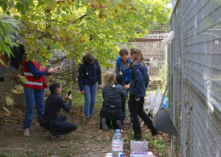 Kopie Von 25 10120252