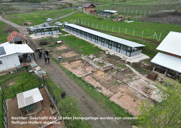 Aca Tierheim Svilos 12