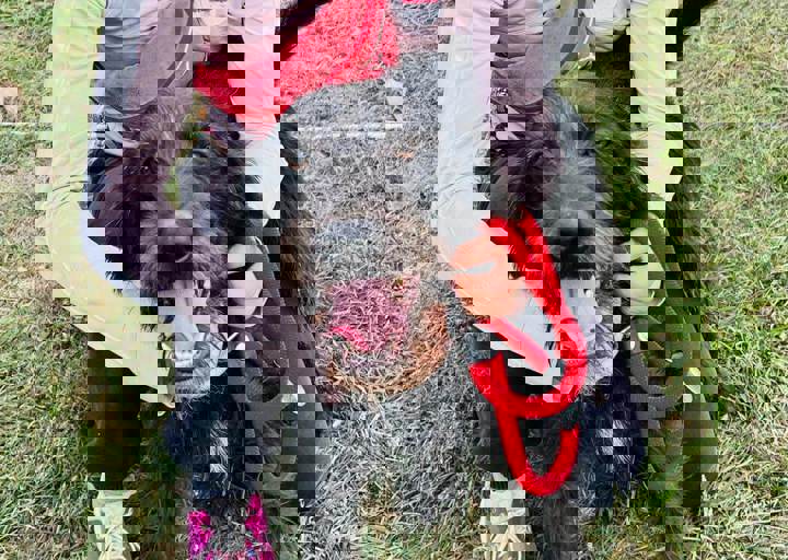 Aca Careday Okt 2025 49