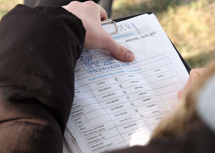 Kopie Von 25 10120532