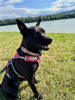Ruby 3 (2)