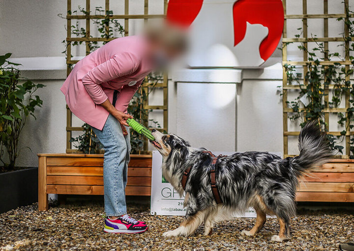 Bf7a9734 Ava Lantzman Korr