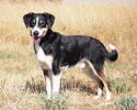 Maxi 2