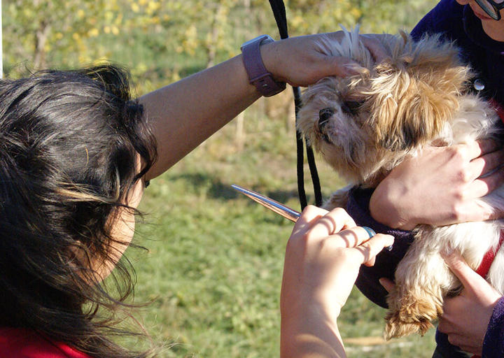 Kopie Von 25 10120586