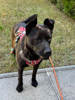 Ruby 4 (2)