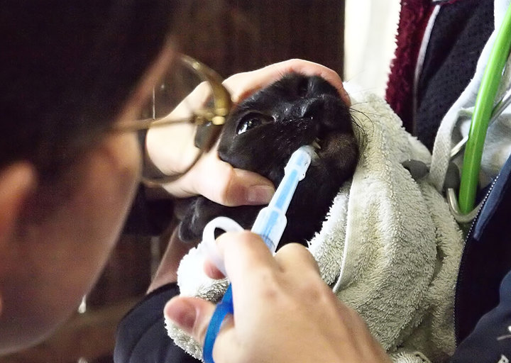 Kopie Von 25 10120238