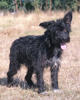 Brian 3 (1)