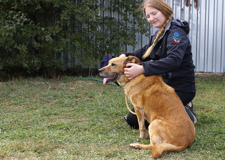 Kopie Von 25 10120311