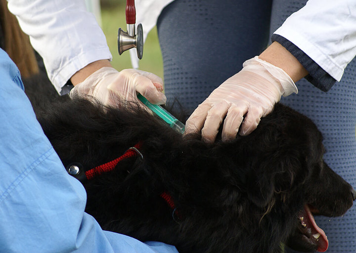 Kopie Von 25 10120173