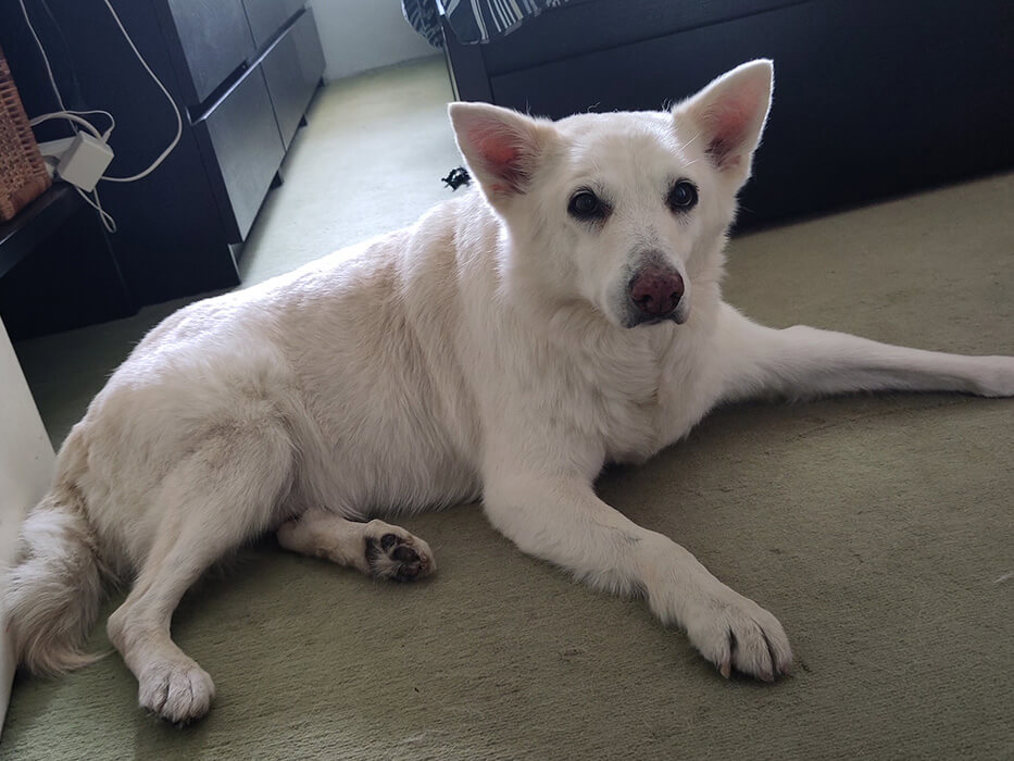 20250227 Perons Letzter Tag