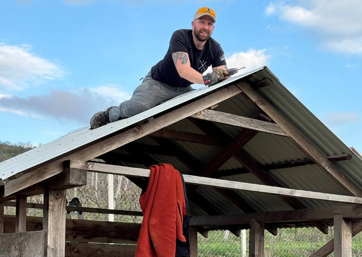 Aca Tierheim Svilos 11