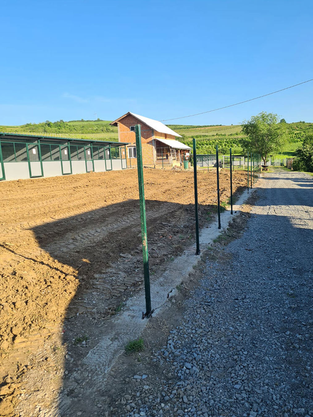 Aca Tierheim Svilos 3