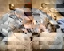 Sammy 6
