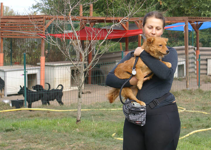 Kopie Von 25 10120301