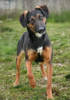 Bessy 4