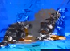 Kevin 2 (1)
