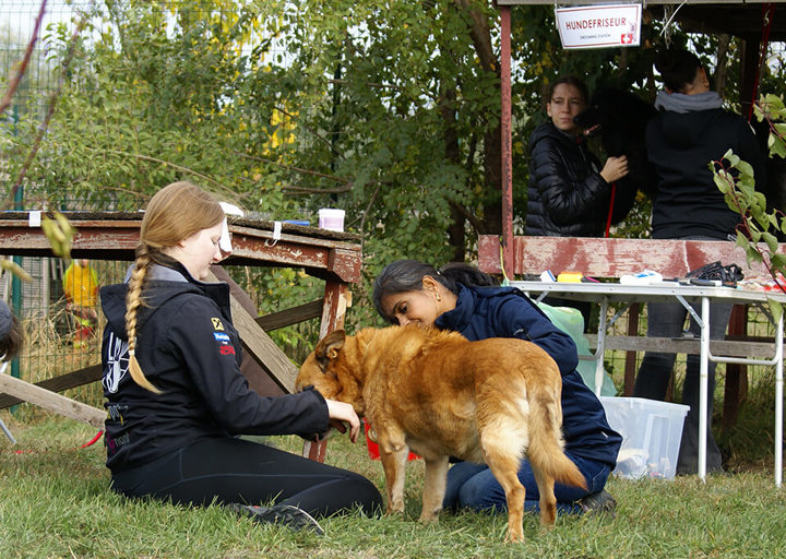 Kopie Von 25 10120350