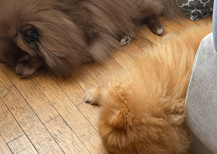 Peanut4