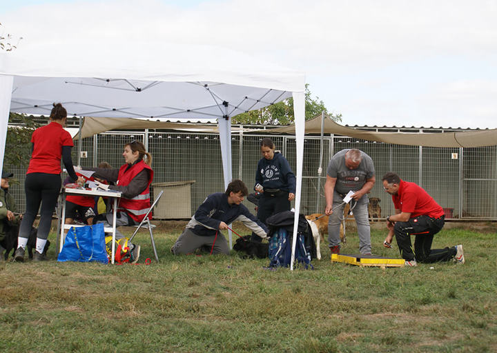 Kopie Von 25 10120286