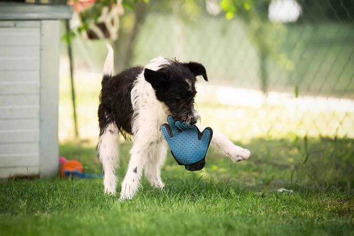 Kimmy 3 (1)