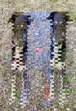 Marco 3 (1)